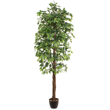 Planta artificial FICUS 2.40m — Soft Room, Costa del Sol, España